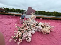 -上海鲜花港