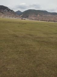 -纳帕海依拉草原
