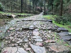 -仙霞关景区