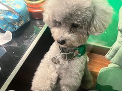 -默迹咖啡馆
