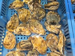 -蚝美人·生蚝海鲜烧烤(茶花园店)