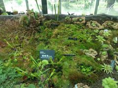 -国家植物园南园