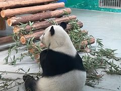 -柳州市动物园
