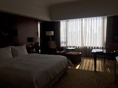 -上海圣淘沙万怡酒店