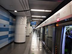 -大望路(地铁站)