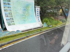 -白鹿洞书院