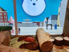 -Mr·Kuma酷么先生雪之乐园