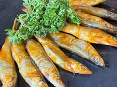 -四斤烤肉(东戴河孟家店)