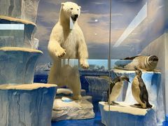 -国家自然博物馆