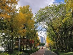 -北外滩滨江绿地