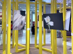 -茂业天地(华强北店)