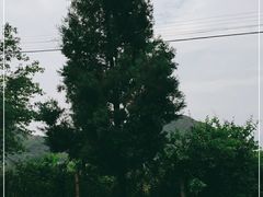 -抚仙湖禄充风景区