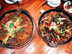 老板恋上鱼-老板恋上鱼(振华商厦店)