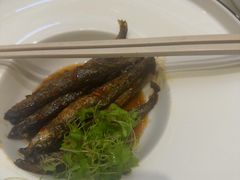 -国惠大酒楼(宝龙店)