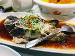 龙趸鱼-宝燕海货工场(长江国际店)