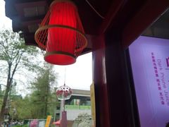 -鸡鸣赐茶(鸡鸣寺路店)