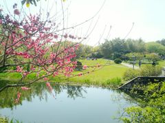 -上海共青森林公园