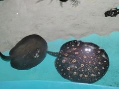 -台州海洋世界