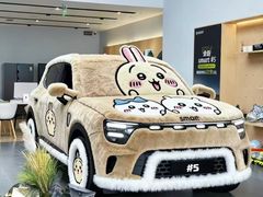 -上海浦东smart汽车全功能店(金桥店)