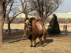 -赛汗塔拉风情园