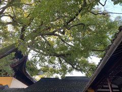 -西园戒幢律寺