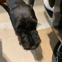 -Hello Lady发型设计