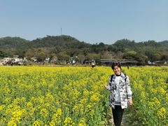 -红山村
