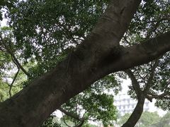 -广西大学(大学东路校区)