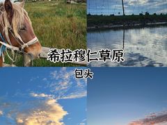 -希拉穆仁草原
