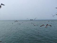 -海驴岛(荣成市)