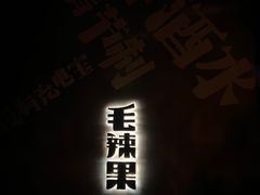 -毛辣果·酸