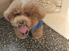 -小意思咖啡店(草桥店)