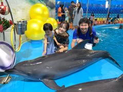 -尼莫海豚馆