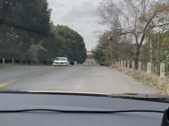 -胜华驾校·小猫学车(银都店)