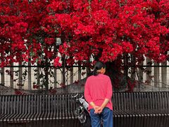 -有红鸡毛店·川菜(建设路店)