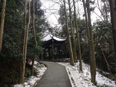 -窦圌山风景区