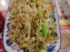 凉拌豆芽-夏家合汁(天润花园小区店)