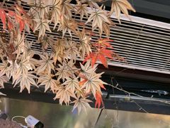 -城墙拐拐火锅(三峡广场黑金冠店)