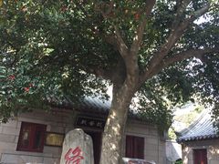-青岛崂山太清宫