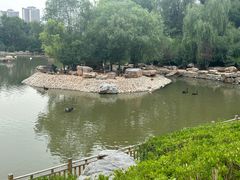 -青藏高原野生动物园
