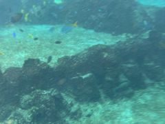 -新加坡水上探险乐园