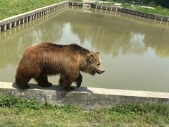 -上海野生动物园