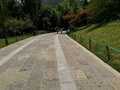 -佛慧山