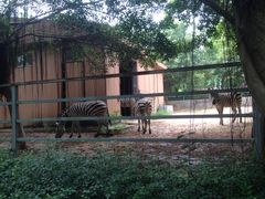 -广东茂名森林公园