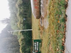 -白鹿原葡萄主题公园