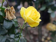 -人民公园(罗湖区)