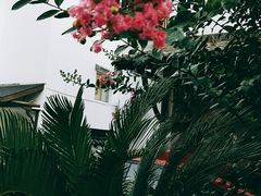 -西湖风景区十里琅珰-五云山