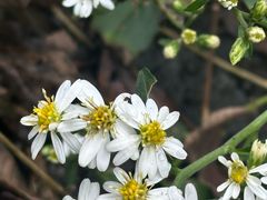 -宁波五龙潭景区