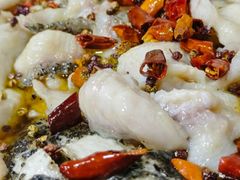 -金三可市井水煮鱼(金碧园店)