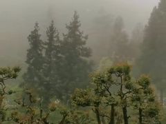 -鹿院坪生态旅游景区